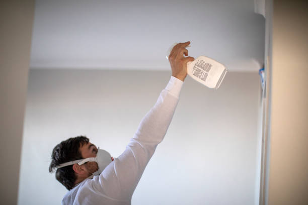 Best Fast Mold Removal  in Burt, MI