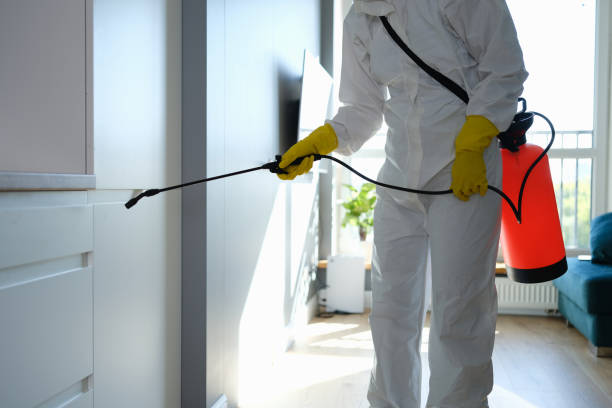 Best Mold Cleaning Services  in Burt, MI