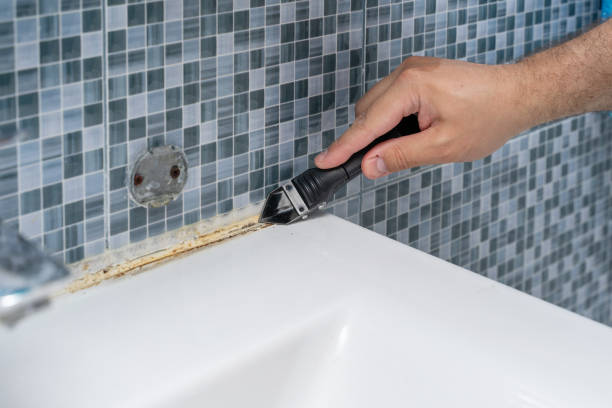 Best Local Mold Removal Service  in Burt, MI
